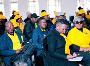 Targeted Institutional Development & Renewal